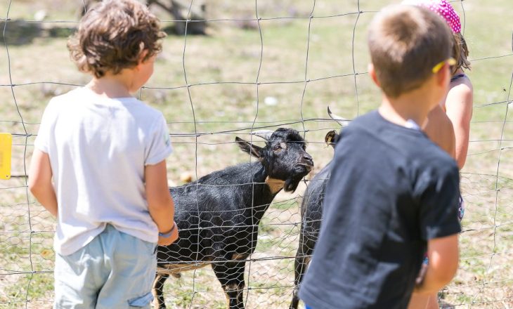 2023-07-26_Séjour-4-6-ans-Web-31